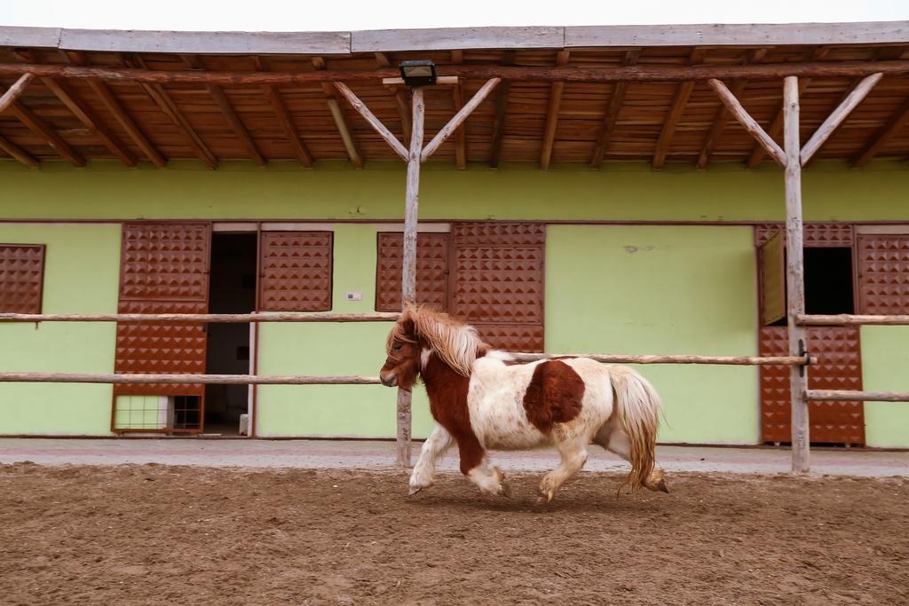 Afyon Can Termal Apart Afyonkarahisar Luaran gambar